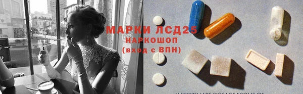 крисы Осинники