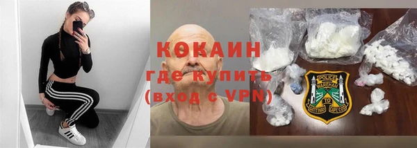 крисы Осинники