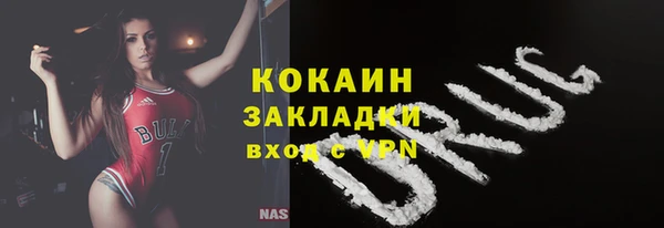 крисы Осинники