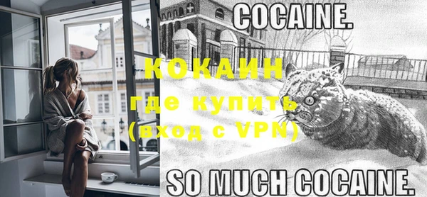 крисы Осинники
