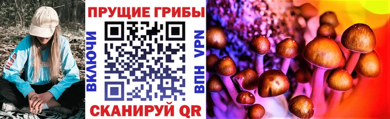 Псилоцибиновые грибы мицелий закладки блэк спрут вход Анива